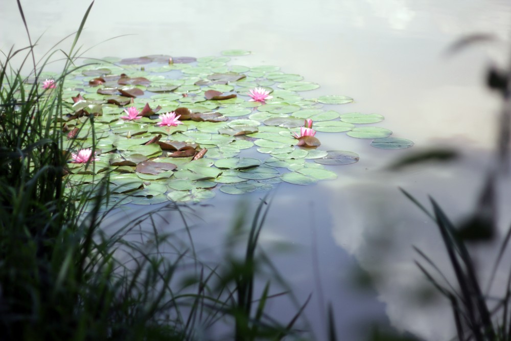 Cultural heritage with adventures in nature